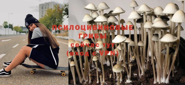 молекула духа Магас
