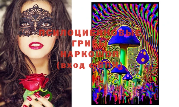 молекула духа Магас