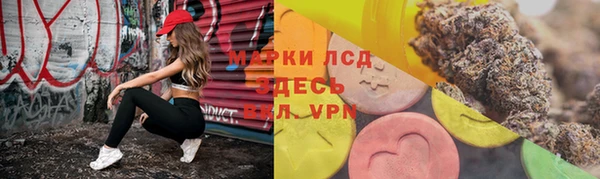 прущие грибы Верхний Тагил