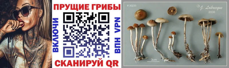 mega ССЫЛКА  Иркутск  Галлюциногенные грибы мухоморы 