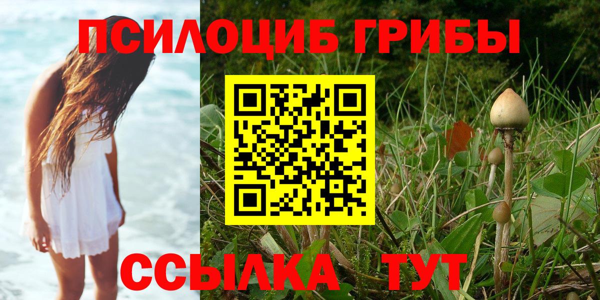 Псилоцибиновые грибы мухоморы  Иркутск 