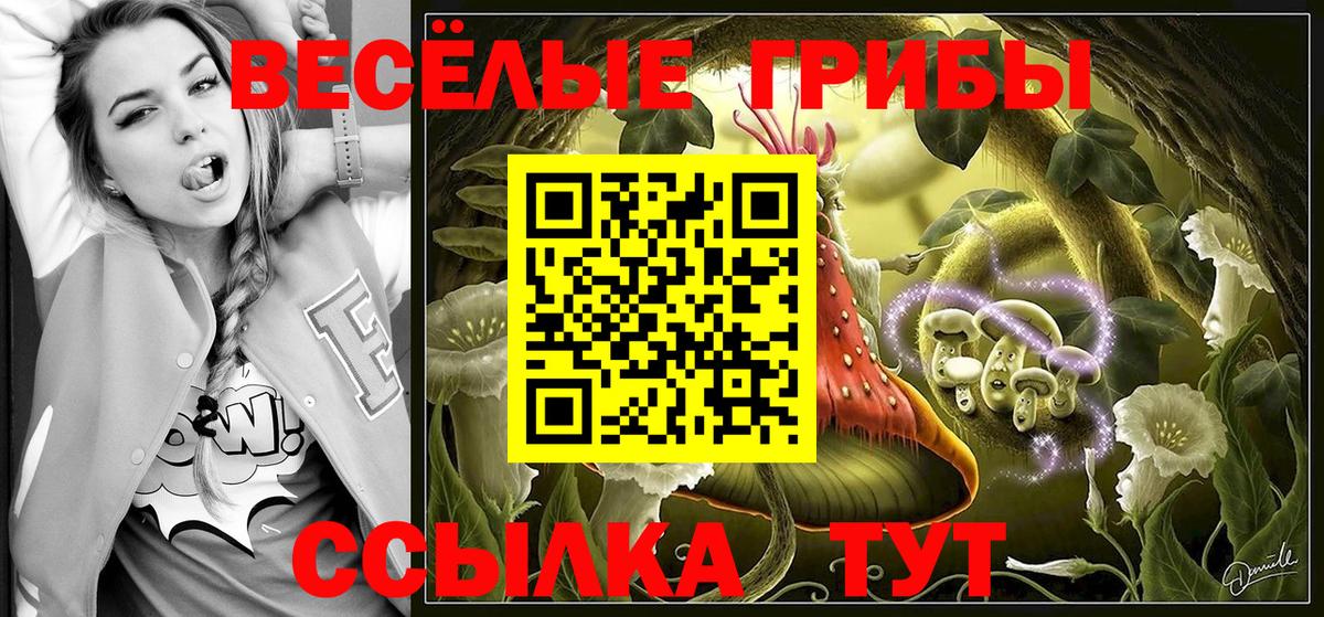 Иркутск  закладки  Вход с VPN  Псилоцибиновые грибы Psilocybine cubensis  Галлюциногенные грибы ЛСД 